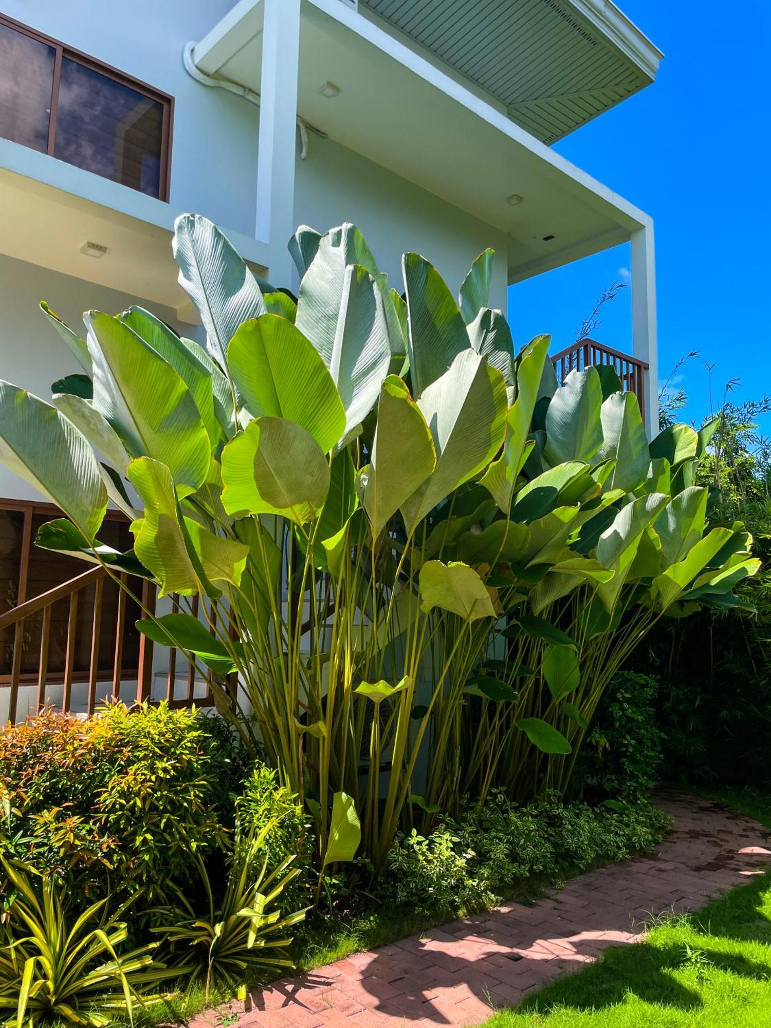 Red Picnic Hostel Panglao Exterior photo