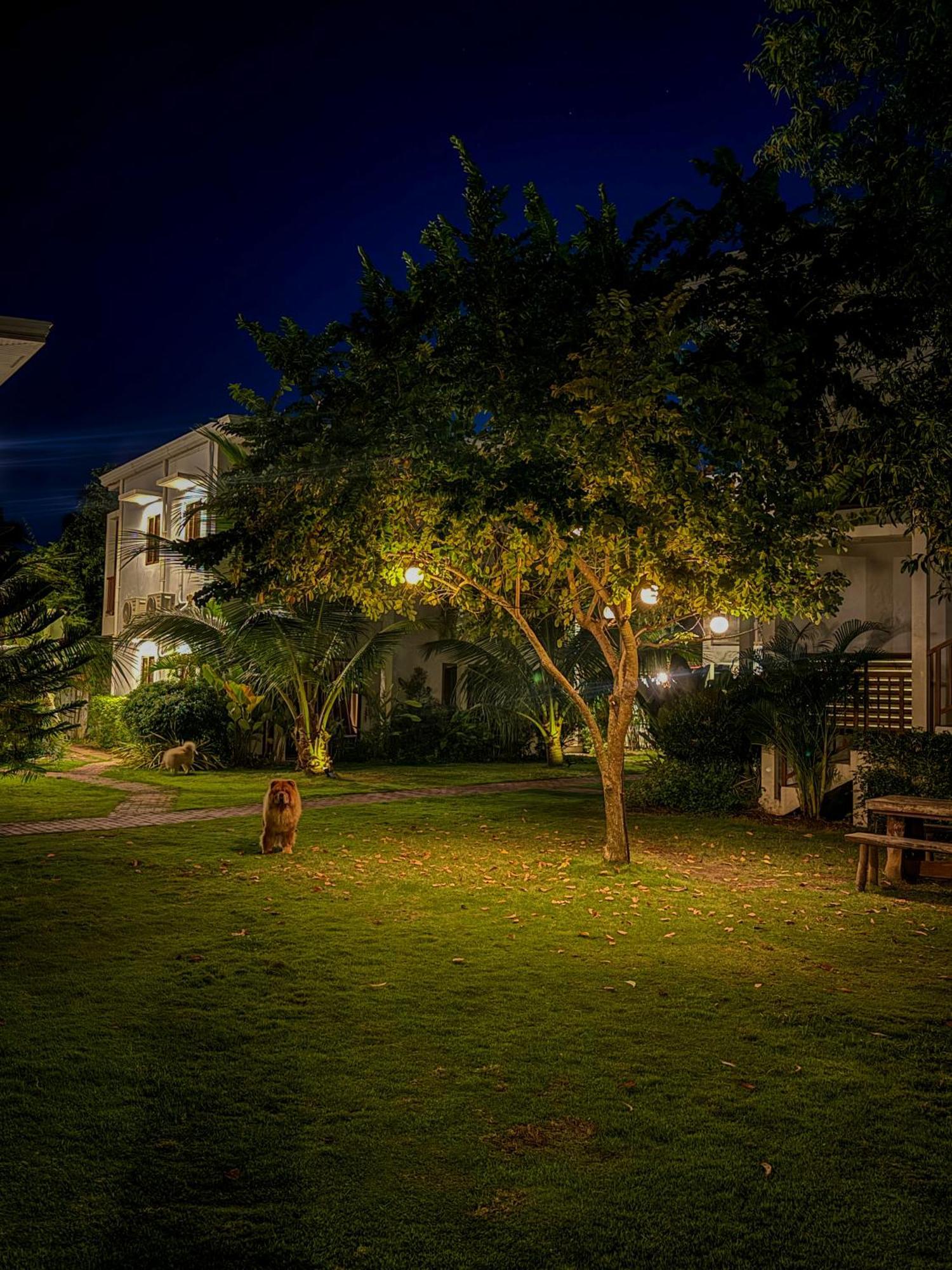Red Picnic Hostel Panglao Island Exterior photo